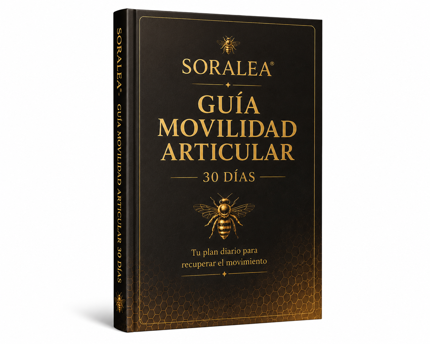 Guía Digital SORALEA® — Movilidad Articular 30 Días